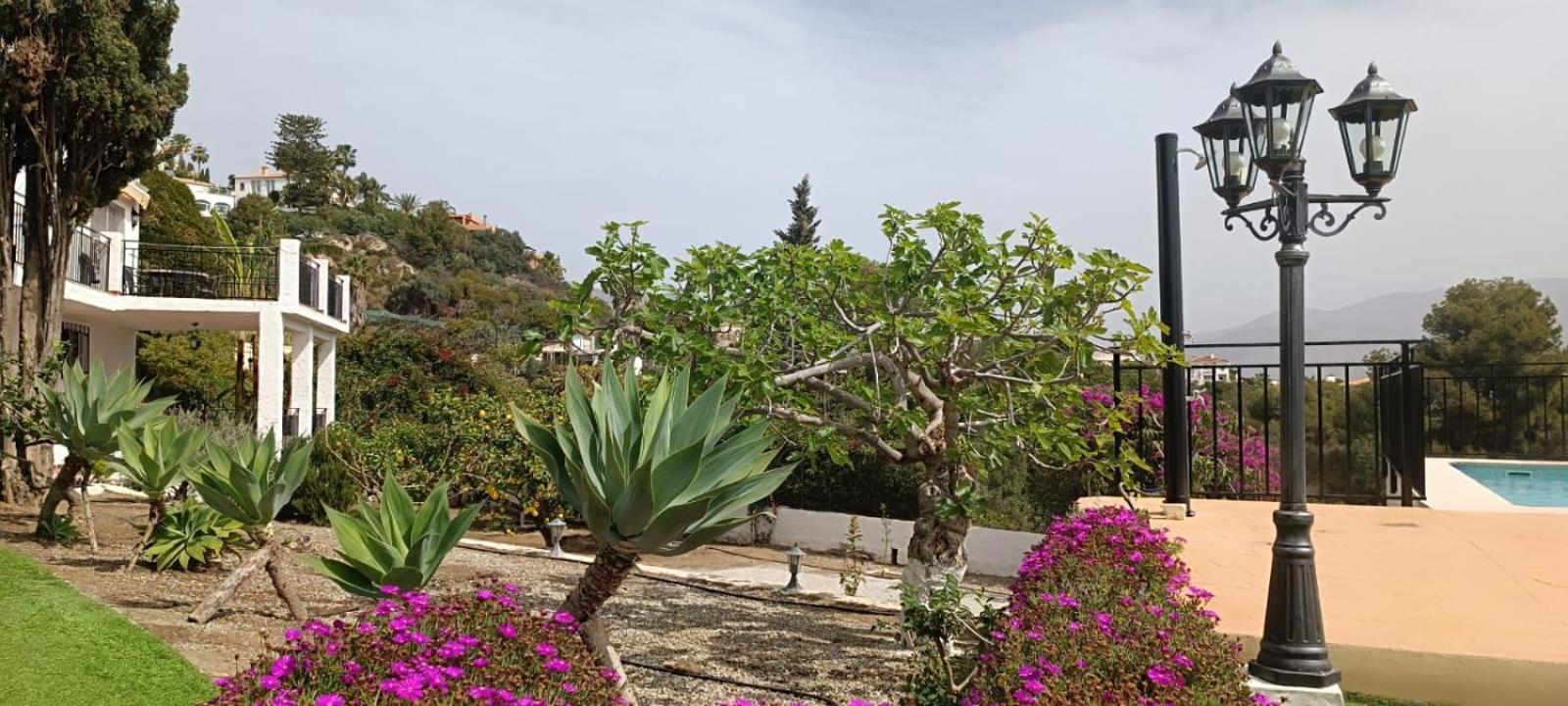 La Torrecica, Con Caracter Andaluz Y Magnificas Vistas Al Mar Y Sierra Nevada Villa Salobreña Екстериор снимка